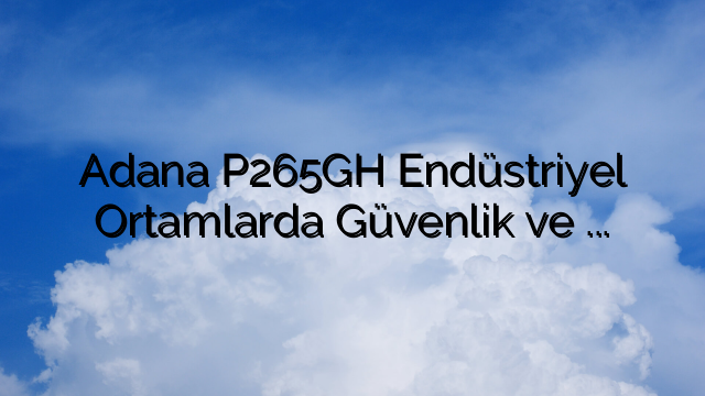 Adana P265GH Endüstriyel Ortamlarda Güvenlik ve Güvenilirliğe Nasıl Katkı Sağlıyor?