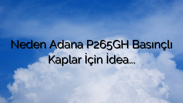 Neden Adana P265GH Basınçlı Kaplar İçin İdeal Seçimdir?